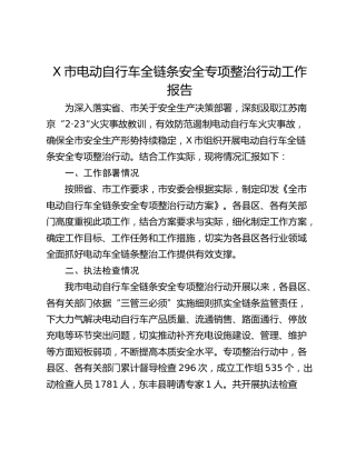 X市电动自行车全链条安全专项整治行动工作报告