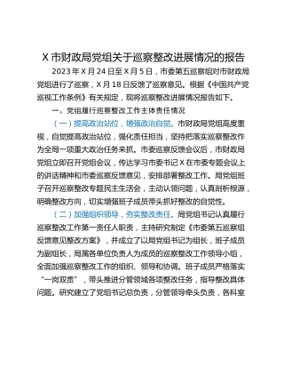 X市财政局党组关于巡察整改进展情况的报告