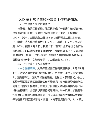 X区第五次全国经济普查工作推进情况
