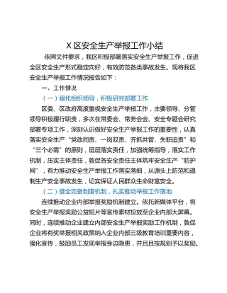 X区安全生产举报工作小结