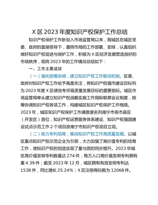X区2023年度知识产权保护工作总结