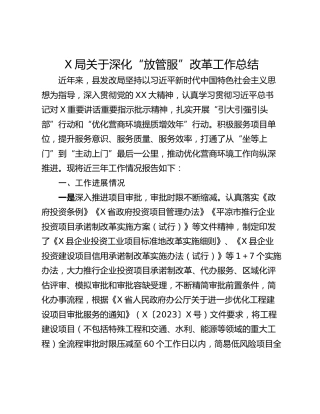 X局关于深化“放管服”改革工作总结