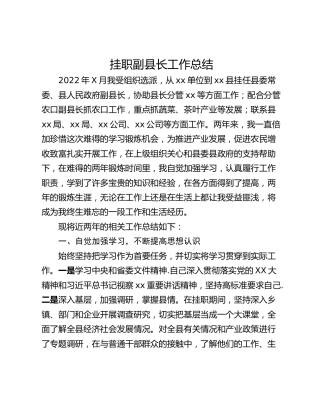挂职副县长工作总结