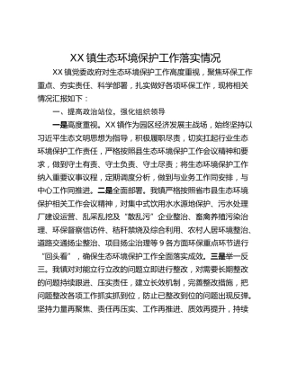 XX镇生态环境保护工作落实情况