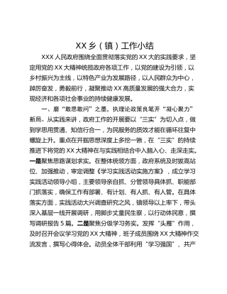 XX乡（镇）工作小结