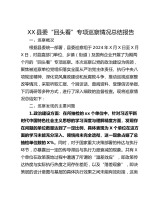 XX县委“回头看”专项巡察情况总结报告