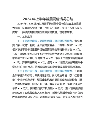 2024年上半年基层党建情况总结