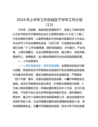 2024年上半年工作总结及下半年工作计划 (13)