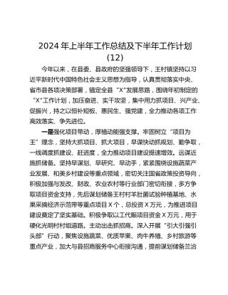 2024年上半年工作总结及下半年工作计划 (12)