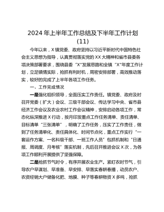 2024年上半年工作总结及下半年工作计划 (11)