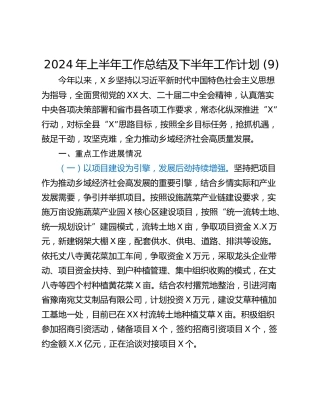 2024年上半年工作总结及下半年工作计划 (9)