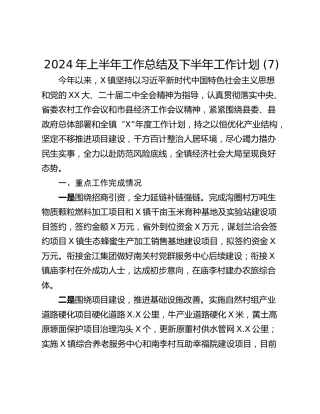 2024年上半年工作总结及下半年工作计划 (7)