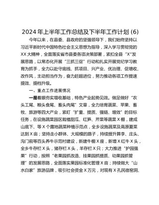 2024年上半年工作总结及下半年工作计划 (6)