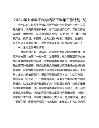 2024年上半年工作总结及下半年工作计划 (5)