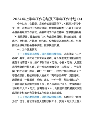2024年上半年工作总结及下半年工作计划 (4)