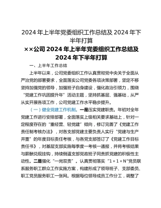 2024年上半年党委组织工作总结及2024年下半年打算