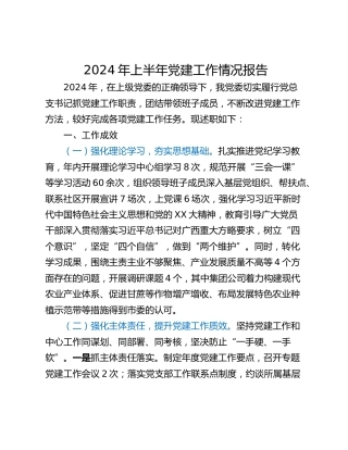 2024年上半年党建工作情况报告_1