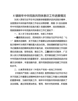 X镇铸牢中华民族共同体意识工作进展情况