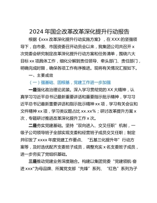 2024年国企改革改革深化提升行动报告