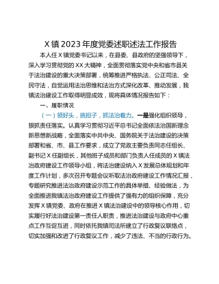 X镇2023年度党委述职述法工作报告