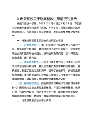 X市委党校关于巡察整改进展情况的报告