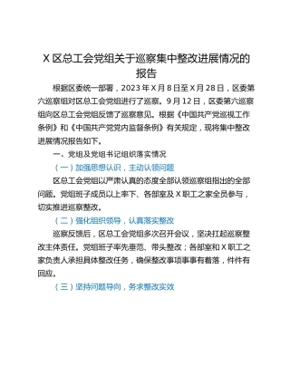X区总工会党组关于巡察集中整改进展情况的报告