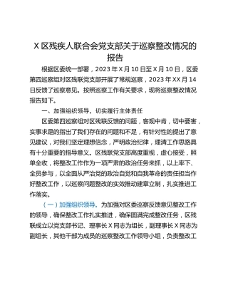 X区残疾人联合会党支部关于巡察整改情况的报告