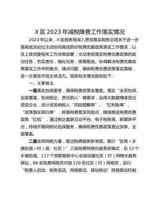 X区2023年减税降费工作落实情况