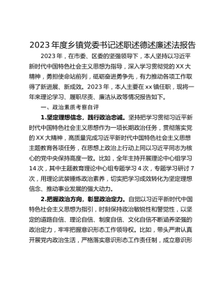 2023年度乡镇党委书记述职述德述廉述法报告