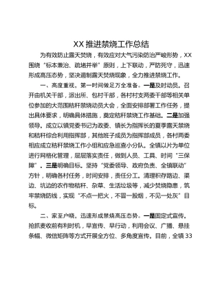 XX推进禁烧工作总结