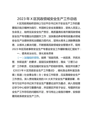 2023年X区民政领域安全生产工作总结