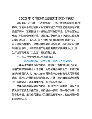 2023年X市商务局营商环境工作总结