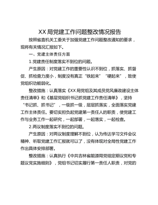 XX局党建工作问题整改情况报告
