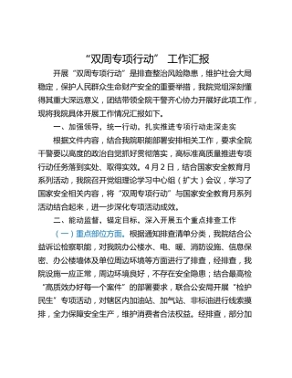 “双周专项行动” 工作汇报
