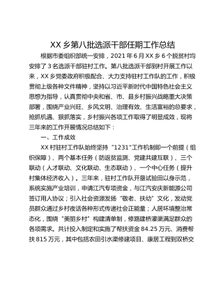 XX乡第八批选派干部任期工作总结