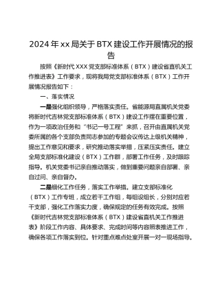 2024年xx局关于BTX建设工作开展情况的报告