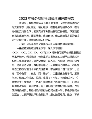 2023年税务局纪检组长述职述廉报告_1