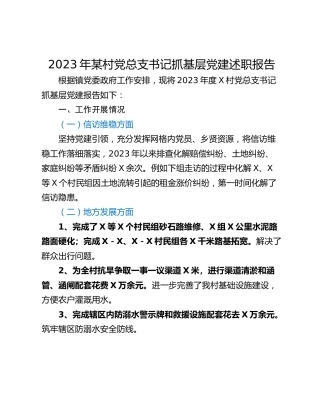 2023年某村党总支书记抓基层党建述职报告