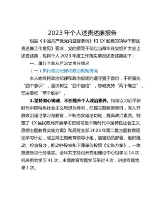 2023年个人述责述廉报告