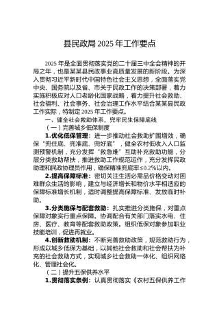 县民政局2025年工作要点
