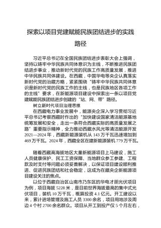 探索以项目党建赋能民族团结进步的实践路径