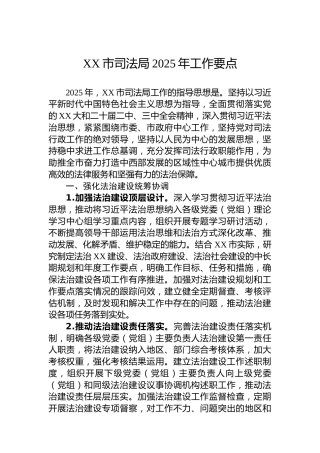 XX市司法局2025年工作要点