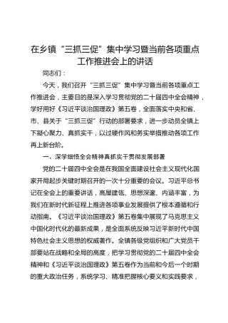 在乡镇“三抓三促”集中学习暨当前各项重点工作推进会上的讲话