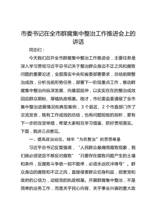 市委书记在市群腐集中整治工作推进会上的讲话 