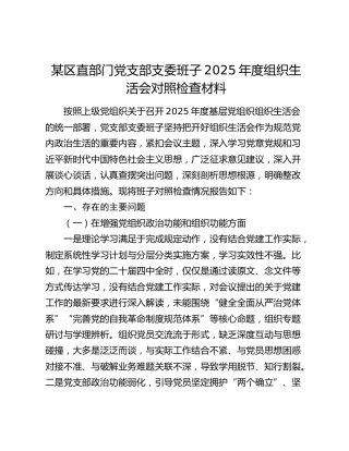 某区直部门党支部支委班子2025年度组织生活会对照检查材料