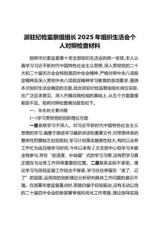 派驻纪检监察组组长2025年组织生活会个人对照检查材料