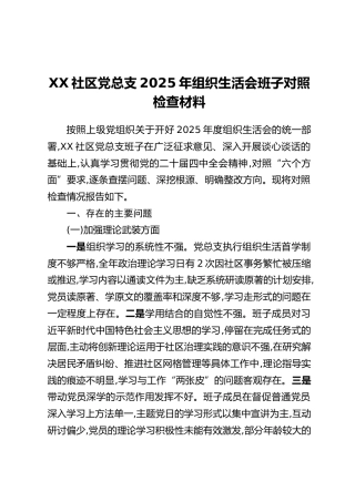 XX社区党总支2025年组织生活会班子对照检查材料