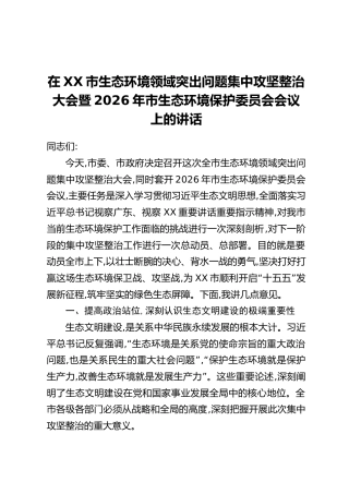 在XX市生态环境领域突出问题集中攻坚整治大会暨2026年市生态环境保护委员会会议上的讲话