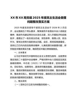 XX市XX局党组2025年度民主生活会查摆问题整改落实方案