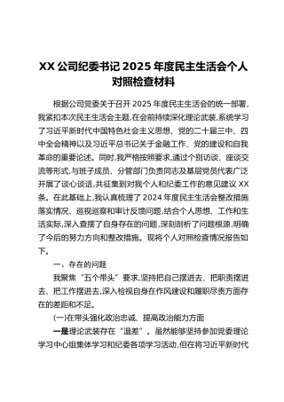 XX公司纪委书记2025年度民主生活会个人对照检查材料